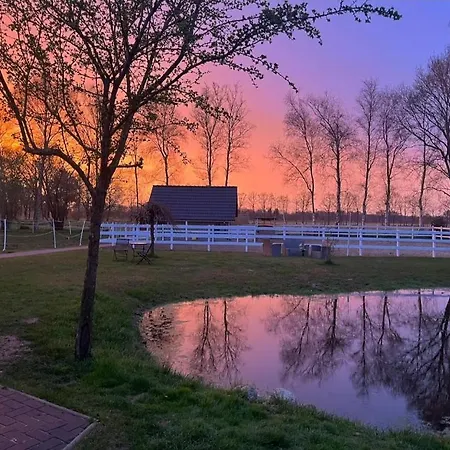 Holiday home Tiny House Suedliches Friesland-fri Erleben
