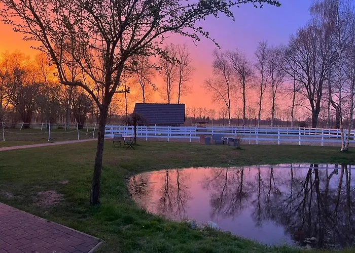 Vakantiehuis Tiny House Suedliches Friesland-fri Erleben